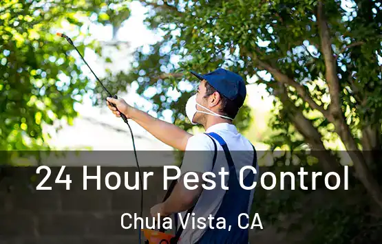  24 Hour Pest Control Chula Vista, CA