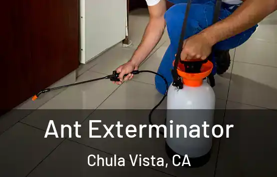  Ant Exterminator Chula Vista, CA