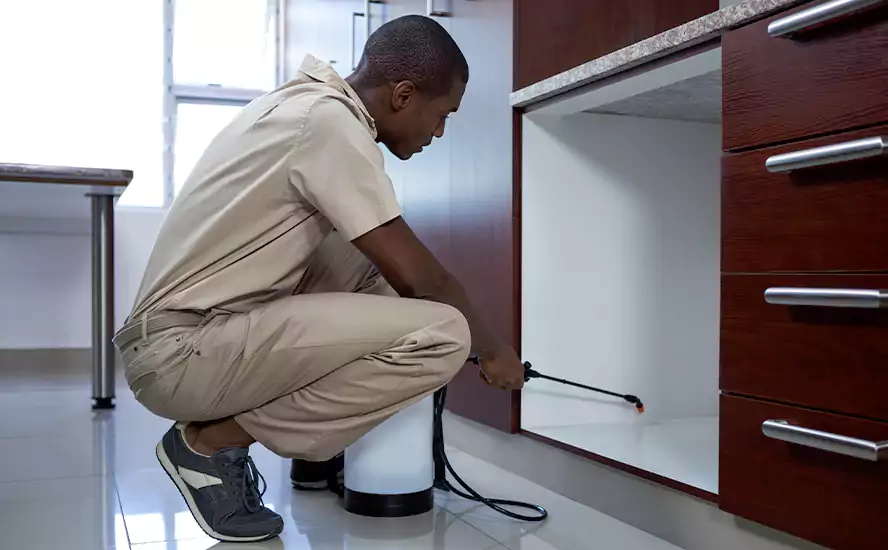 Top-Notch Pest Control in Chula Vista