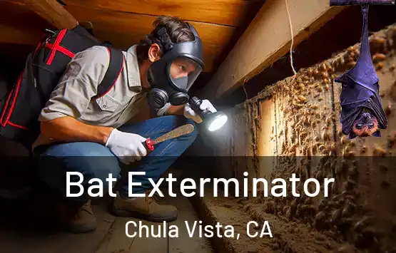  Bat Exterminator Chula Vista, CA