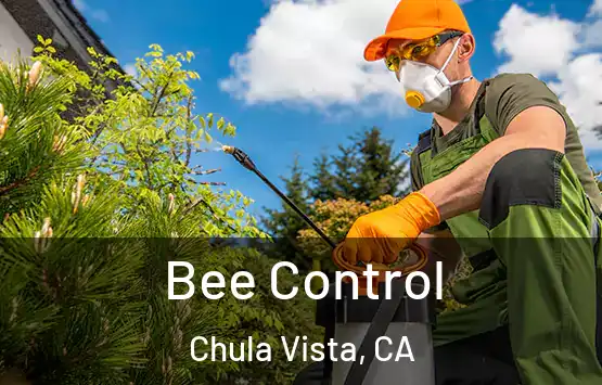  Bee Control Chula Vista, CA