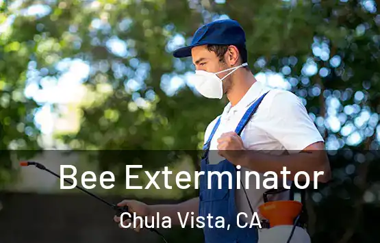  Bee Exterminator Chula Vista, CA