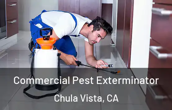  Commercial Pest Exterminator Chula Vista, CA
