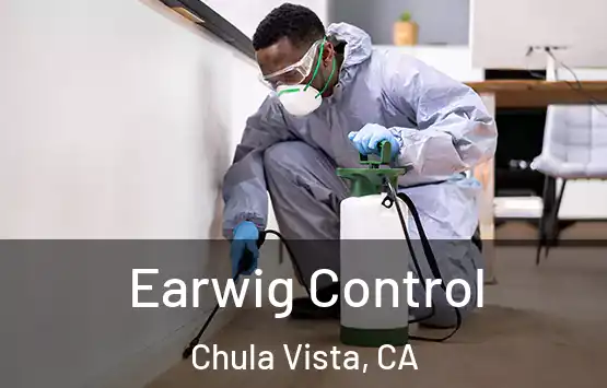  Earwig Control Chula Vista, CA