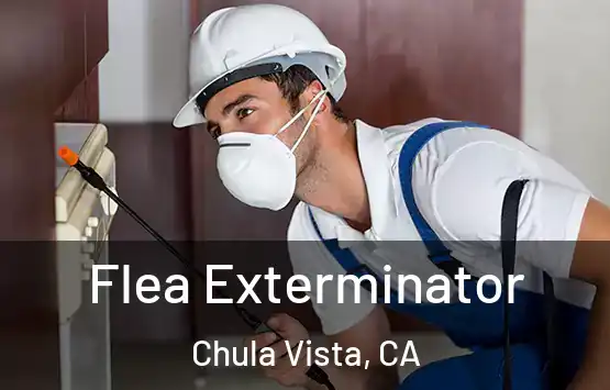  Flea Exterminator Chula Vista, CA