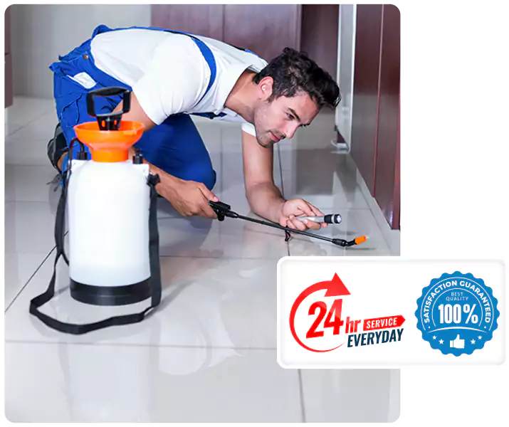 Year-Round Pest Prevention Plans in Chula Vista