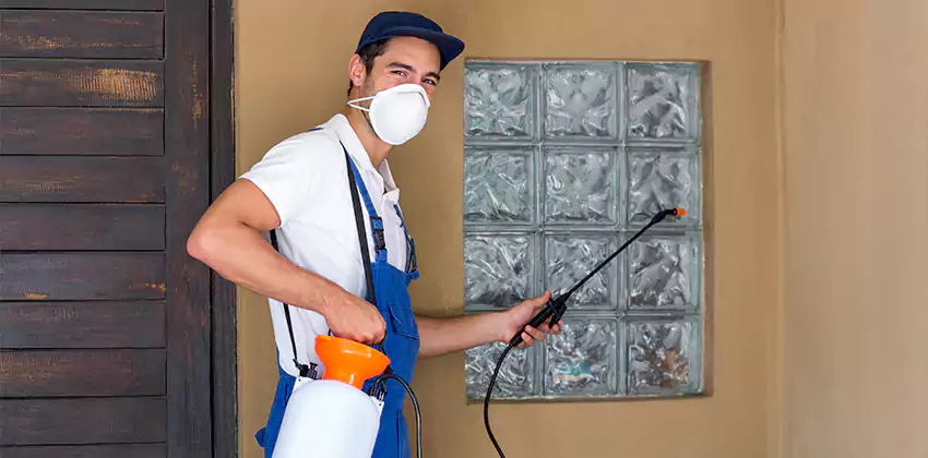 Bee Control for Bedrooms Chula Vista, CA