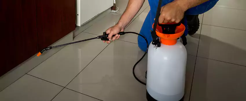 Prevent Future Roach Infestations Chula Vista, CA