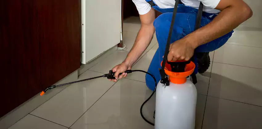 Commercial Flea Exterminator Company in Chula Vista, CA