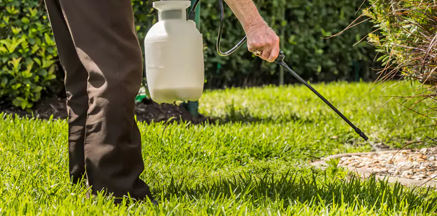 Grub Treatment for Bedrooms Chula Vista, CA