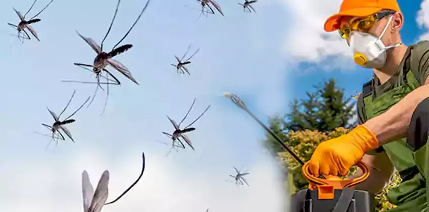 Commercial Mosquito Control Services in Chula Vista, CA