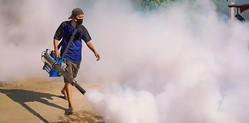 Bedrooms Mosquito Extermination in Chula Vista, CA