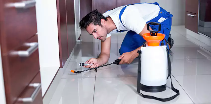 Protect Your Home with Our Pest Inspection Services Chula Vista, CA