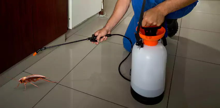 Exclusion and Sanitation Consultation in Chula Vista, CA