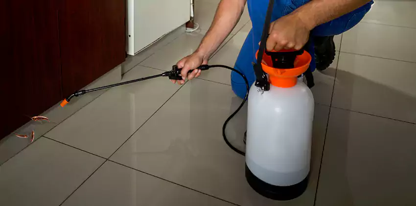 cockroach-treatment in Chula Vista, CA