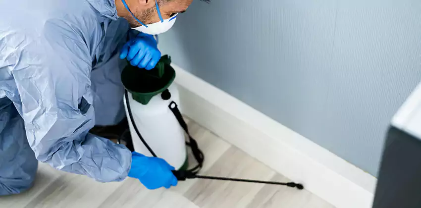commercial-pest-exterminator in Chula Vista, CA