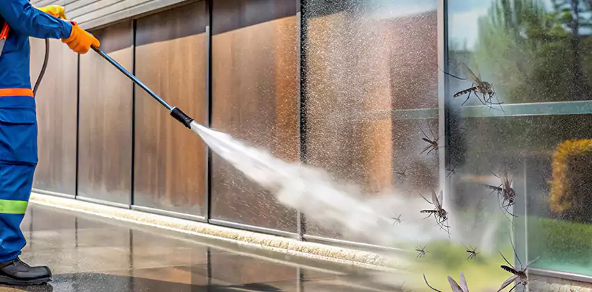 mosquito-control in Chula Vista, CA