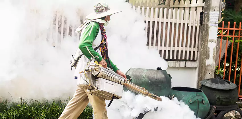 mosquito-exterminator in Chula Vista, CA