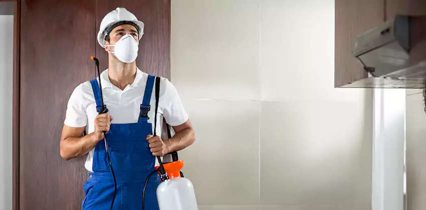 pest-inspection in Chula Vista, CA