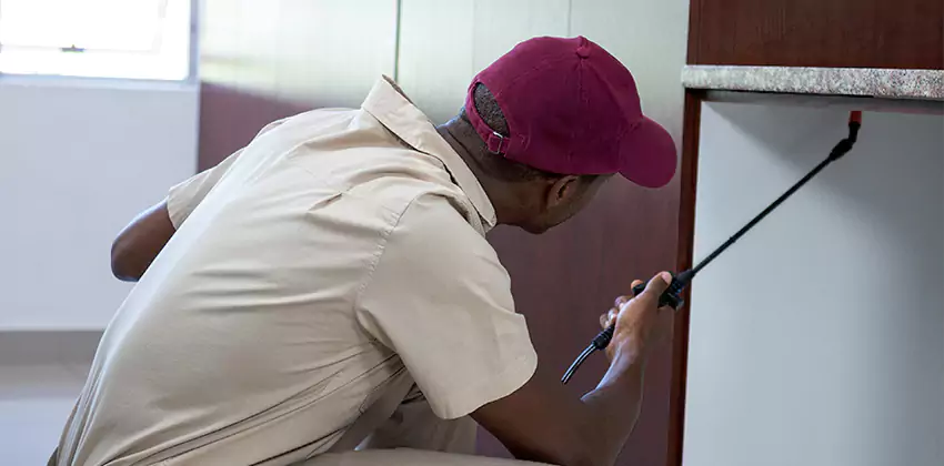 termite-inspection in Chula Vista, CA