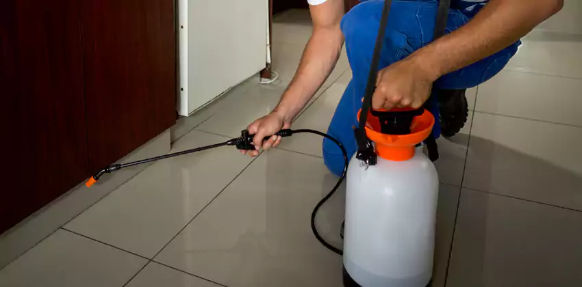 Pest Exterminator Company in Chula Vista, CA