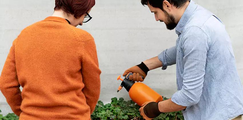 whitefly-treatment in Chula Vista, CA