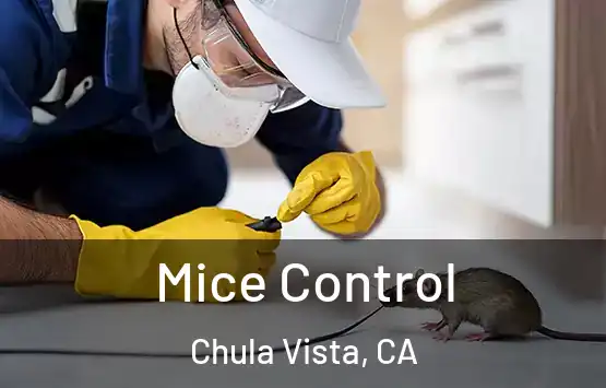  Mice Control Chula Vista, CA