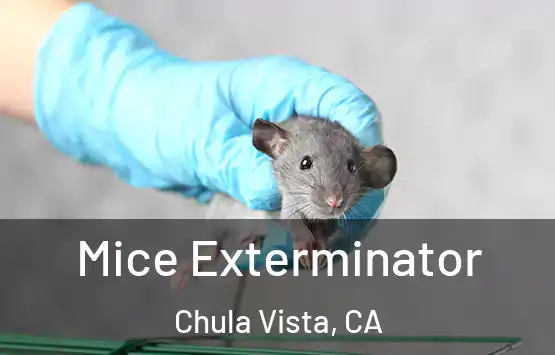  Mice Exterminator Chula Vista, CA