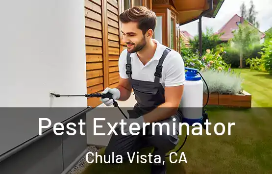  Pest Exterminator Chula Vista, CA