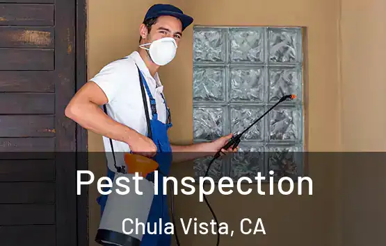  Pest Inspection Chula Vista, CA