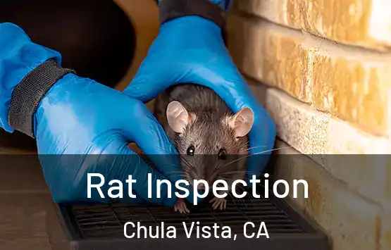  Rat Inspection Chula Vista, CA