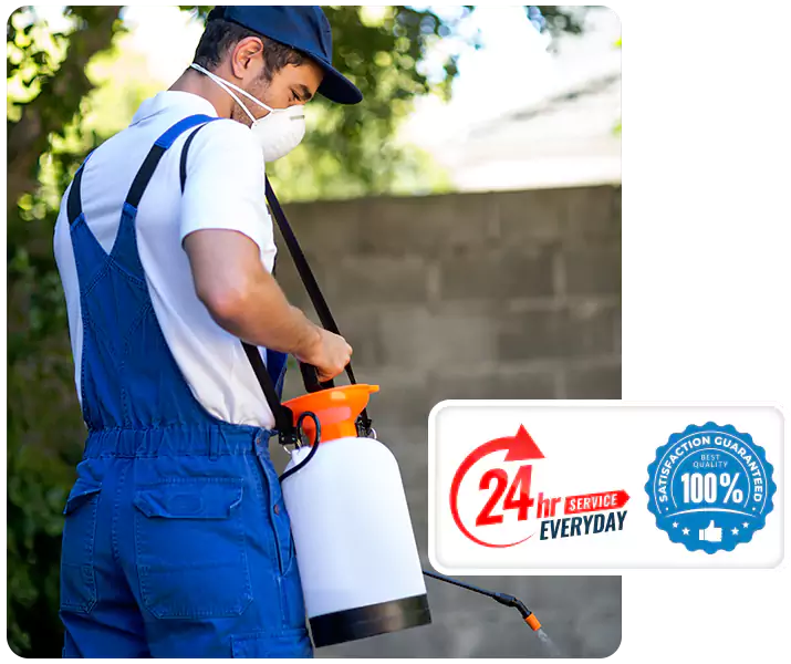 About Emergency Exterminator Chula Vista
