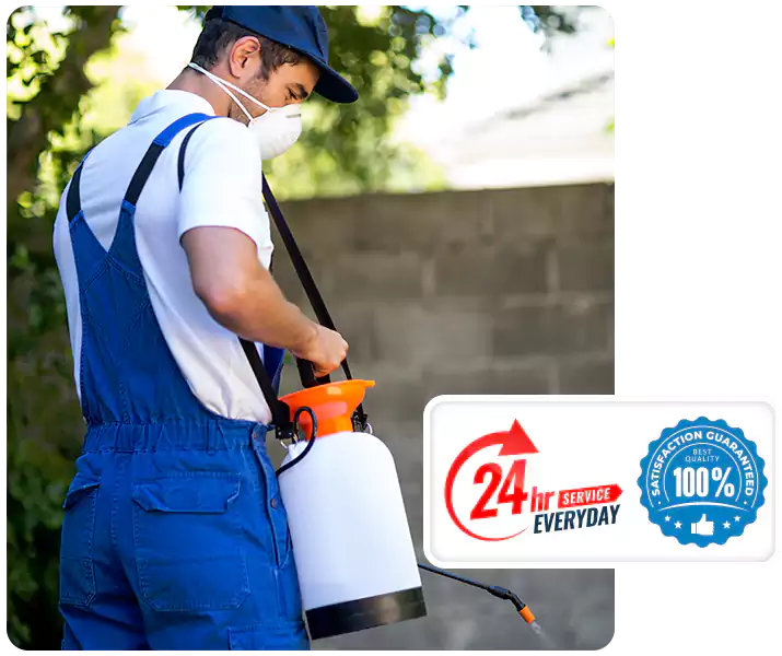 About Pest Exterminator Chula Vista