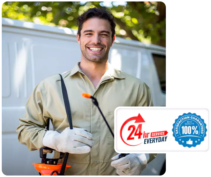About Termite Exterminator Chula Vista