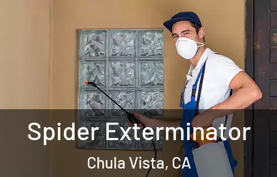  Spider Exterminator Chula Vista, CA