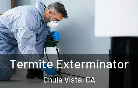  Termite Exterminator Chula Vista, CA