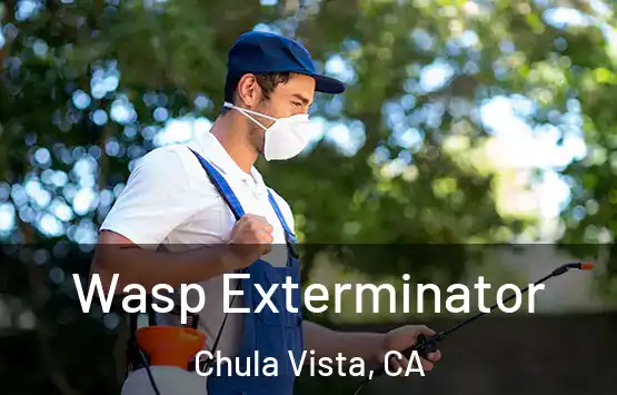  Wasp Exterminator Chula Vista, CA